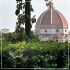 Florence Penthouse (sleeps 5) in Florence Historic center
