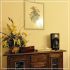 Olimpo apartment (sleep 8) in Florence city center